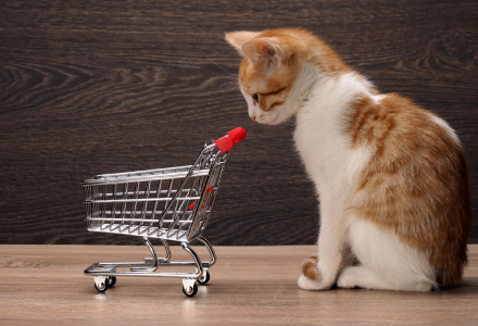 A cat sitting next to a shopping cart.